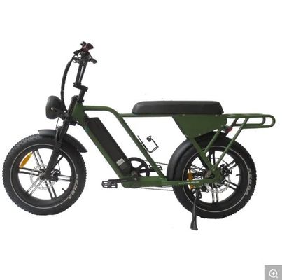 48V250W-500W-750W-1000W 모터 알루미늄 합금 프레임과 함께 전기 자전거