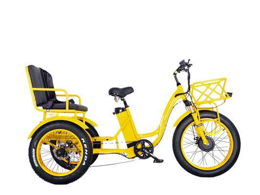 전기 리크샤 750W 전면 BaFang 모터 21AH 리?? 배터리 60KM 미국 성인 24 &quot;뚱뚱한 눈 큰 타이어 승객 좌석