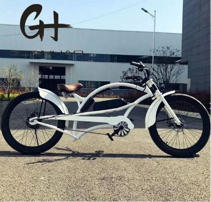 남성용 24인치 3.0 타이어 48V 17AH OEM/ODM 750W 28MPH 싱글 스피드 바팡 모터 디스플레이 콥터 전기 자전거