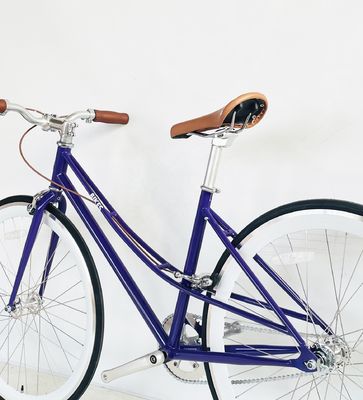 700C 레이디 여성 그릴 CE 미국 사용자 정의 단일 속도 고정 기어 도시 자전거를 통해 단계