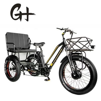 24&quot; 48V 전륜 750W 45KM/H 최대 부하 300KG 21AH 리?? 배터리 전기 삼륜자동차