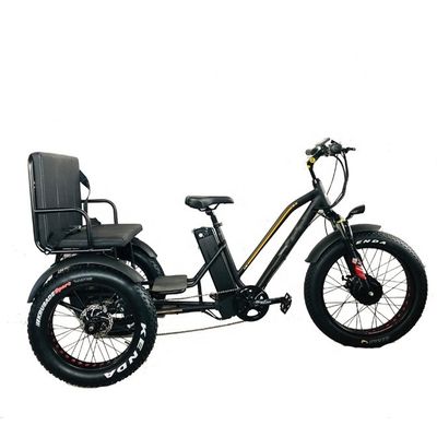 24&quot; 48V 전륜 750W 45KM/H 최대 부하 300KG 21AH 리?? 배터리 전기 삼륜자동차