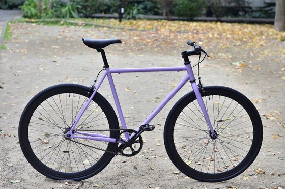 1.6m 길이 OEM 다채로운 700C 성인 도로 경주 가벼운 무게 단속 고정 고정 기어 자전거