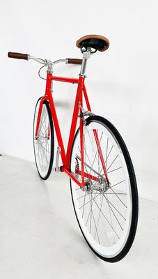 미국 OEM 스포츠 고정 자전거 밀폐 된 베어링 허브와 다채로운 하이-텐 스틸 프레임