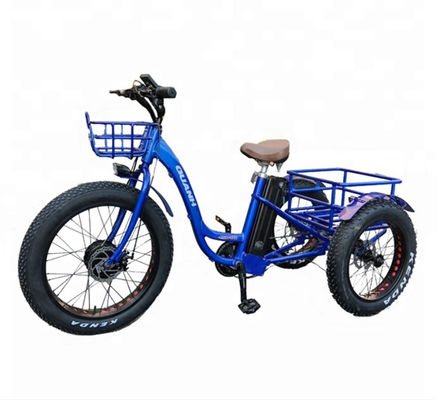 리?? 배터리와 31-60km의 범위의 750W 전기 화물 삼륜자전거