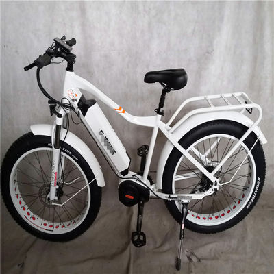 1000W Bafang 중동 모터 합금 후기 운반자 표준과 중앙 전기 자전거