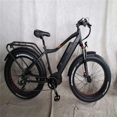 1000W Bafang 중동 모터 합금 후기 운반자 표준과 중앙 전기 자전거