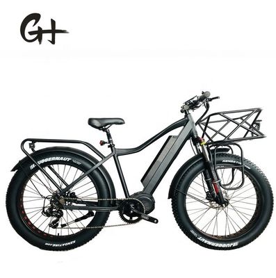 1000W Bafang 중동 모터 합금 후기 운반자 표준과 중앙 전기 자전거