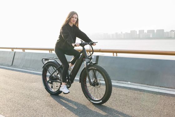 1000W Bafang 중동 모터 합금 후기 운반자 표준과 중앙 전기 자전거