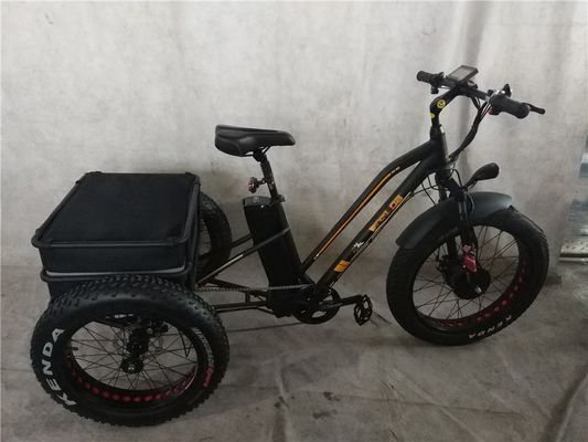 바팡 750W 모터 전기 삼륜자동차 뚱뚱한 타이어 E 세 바퀴와 승객 좌석