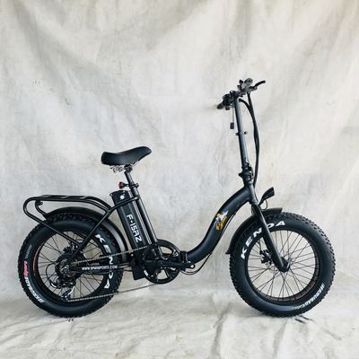 폴딩 20 인치 전기 자전거 48V 500W 750W 1000W 모터와 단계별 디자인