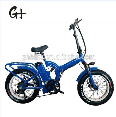 폴딩 20 인치 전기 자전거 48V 500W 750W 1000W 모터와 단계별 디자인