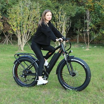 48V 1000W 17AH 리?? 배터리 OEM EN15194 CE 맞춤형 전기 MTB 산지 지방 타이어 자전거