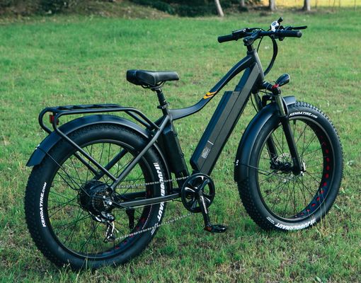 48V 1000W 17AH 리?? 배터리 OEM EN15194 CE 맞춤형 전기 MTB 산지 지방 타이어 자전거