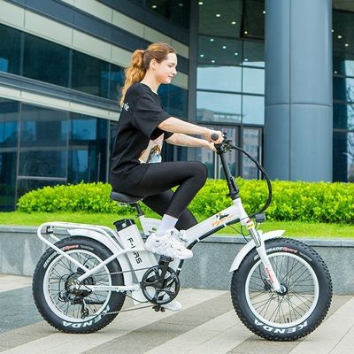 48V 1000W 13AH 리?? 배터리 미국 시장의 큰 4.0 지방 스노우 타이어 전기 폴딩 자전거