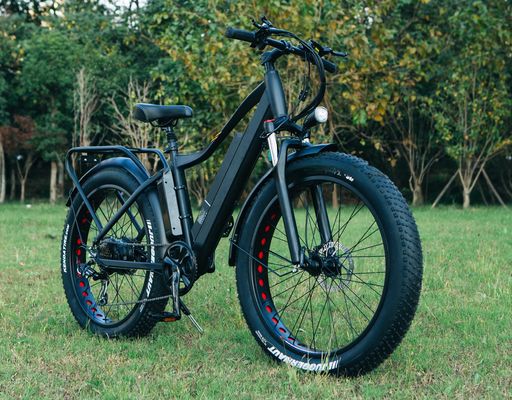 미국 CE 승인된 48V 21ah 전기 산악 자전거 26" 지방 타이어 및 후부 허브 모터