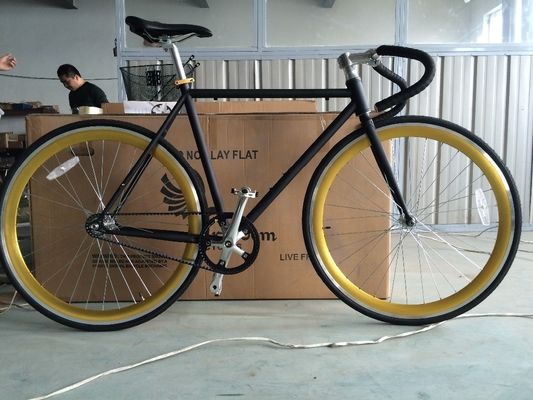 13kg 총중량 벨트 드라이브 고정 기어 자전거 하이-텐 스틸 프레임 및 스타일 디자인