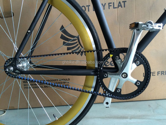 13kg 총중량 벨트 드라이브 고정 기어 자전거 하이-텐 스틸 프레임 및 스타일 디자인