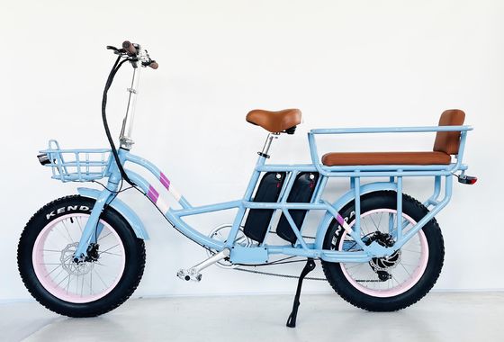 20" 48V 1000W 듀얼 배터리 34AH 리?? 배터리 50KM/H 후부 허브 모터 스노우 전기 자전거