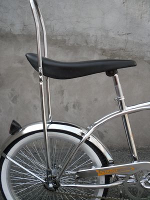 20 인치 스틸 CP 프레임 코스터 스프링 포크 미니 어린이 로바이더 자전거 일반 페달