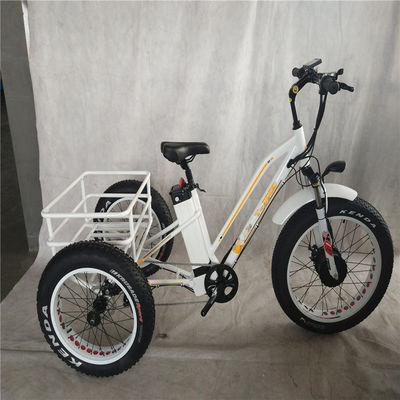 750W 전기 자전거 3 바퀴 성인 지방 타이어 E 트라이크 화물 토크 70-80 Nm 디스크 브레이크