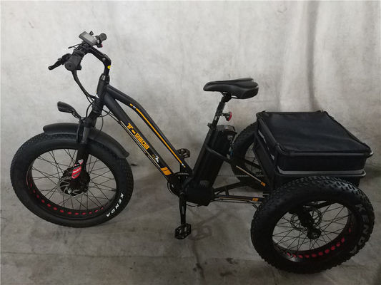 750W 전기 자전거 3 바퀴 성인 지방 타이어 E 트라이크 화물 토크 70-80 Nm 디스크 브레이크