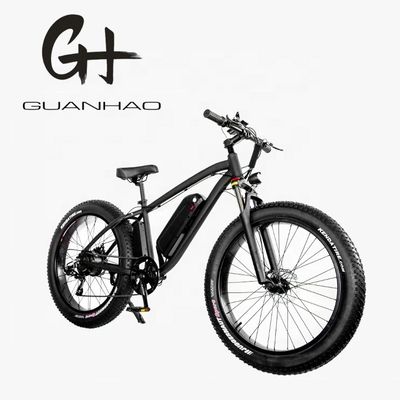 30-50Km/h 최대 속도 1000W 48V 17AH 전기 산악 자전거 7 속도 및 디스크 브레이크