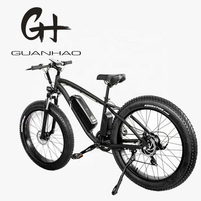 30-50Km/h 최대 속도 1000W 48V 17AH 전기 산악 자전거 7 속도 및 디스크 브레이크