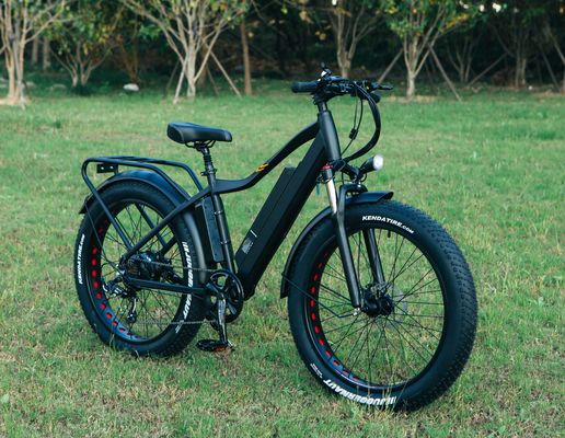 52V 1000W Bafang 모터 17AH 리?? 55KM / H 후부 허브 눈 지방 타이어 산악 전기 자전거