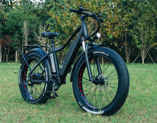 52V 1000W Bafang 모터 17AH 리?? 55KM / H 후부 허브 눈 지방 타이어 산악 전기 자전거