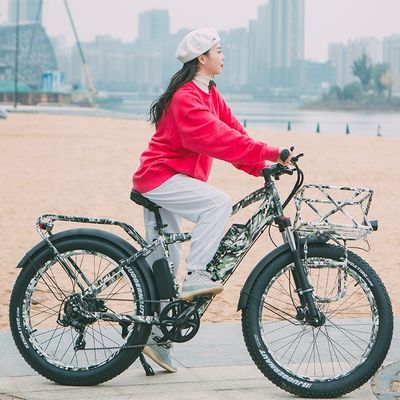 52V 1000W Bafang 모터 17AH 리?? 55KM / H 후부 허브 눈 지방 타이어 산악 전기 자전거