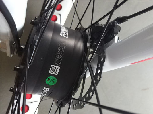 750W 전동 24 4.0 지방 타이어 눈 48V E 트라이크 3륜 화물 전기 삼륜자전거