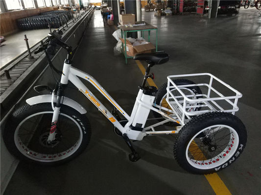 최대 속도 50km/h 8Fun 750W 전동기 4.0 지방 타이어 화물 전기 트라이사이클 3 바퀴