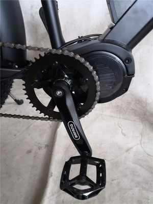 성인 지방 타이어 사이클 E 에바이크 전기 자전거 48V 1000W 21A 중앙 중동 모터 26 인치