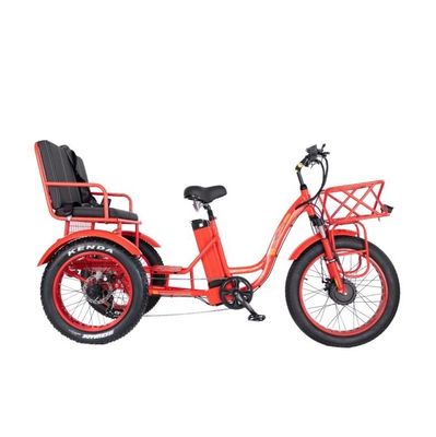 48V E 트라이크 3 휠 750 와트 뚱뚱한 타이어 리크샤 바판 750W 모터와 성능