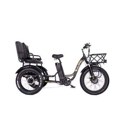 48V E 트라이크 3 휠 750 와트 뚱뚱한 타이어 리크샤 바판 750W 모터와 성능