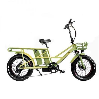 48V 전기 듀얼 모터 1000 와트 장거리 지방 타이어 화물 전자 자전거