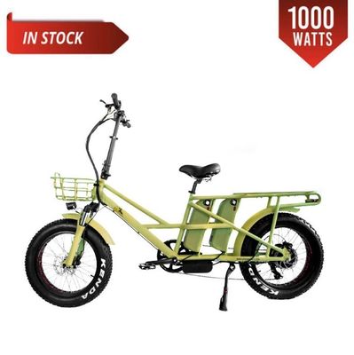 48V 전기 듀얼 모터 1000 와트 장거리 지방 타이어 화물 전자 자전거