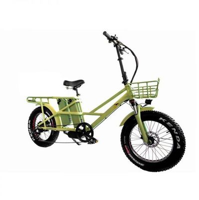 48V 전기 듀얼 모터 1000 와트 장거리 지방 타이어 화물 전자 자전거