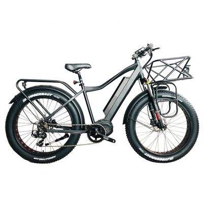 미국 시장 EN15194 CPSC 48V 1000W 17AH 전기 산악 자전거