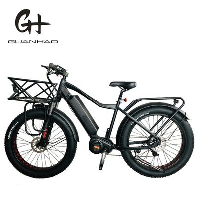 미국 시장 EN15194 CPSC 48V 1000W 17AH 전기 산악 자전거