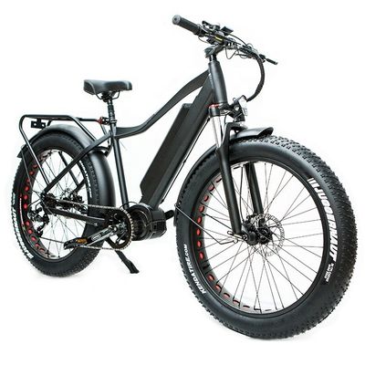 미국 시장 EN15194 CPSC 48V 1000W 17AH 전기 산악 자전거