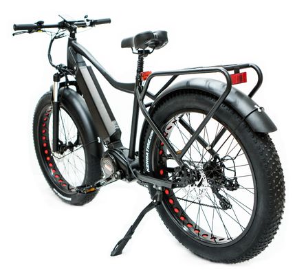 미국 시장 EN15194 CPSC 48V 1000W 17AH 전기 산악 자전거