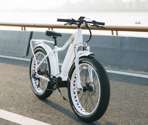 미국 시장 EN15194 CPSC 48V 1000W 17AH 전기 산악 자전거