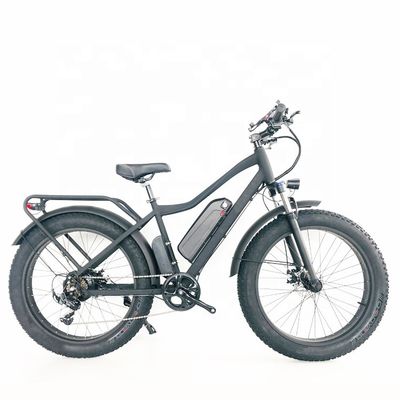 48V 1000W 17AH 50KM/H 미국 OEM 맞춤형 지방 타이어 화물용 전기 산악 자전거