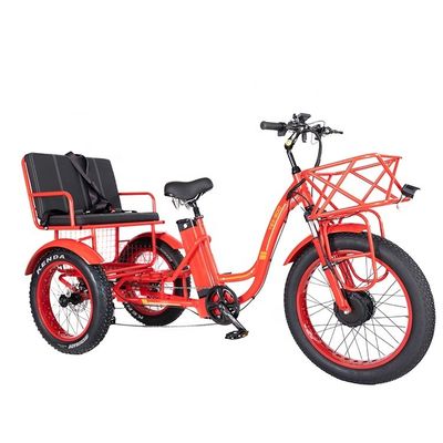 50-70km 운전 마일리그 48V 1000W 50KM/H 3륜 전기 삼륜자전거 승객 및 화물