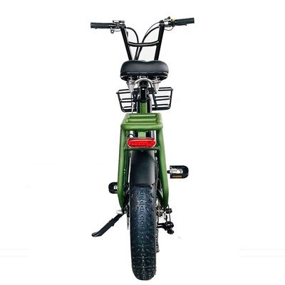 20&quot; 48V 34AH 리?? 배터리 1000W 50KM/H 알루미늄 프레임 7속도 화물 전기 듀얼 배터리 하이브리드 FAT 스노우 타이어 4.0 자전거