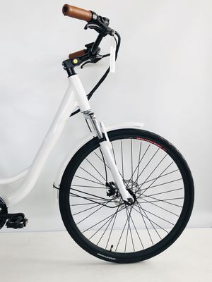 미국 USD390 500W 48V 14AH 전기 레이디 자전거 7 스피드 기어와 LCD 디스플레이