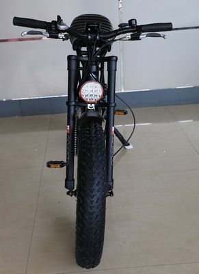 20&quot;*4.0 전기 산악 자전거 48V1000W 17AH 리?? 대형 타이어 스노우 자전거 속도 50KM/H