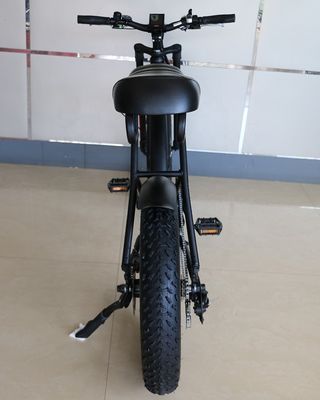 20&quot;*4.0 전기 산악 자전거 48V1000W 17AH 리?? 대형 타이어 스노우 자전거 속도 50KM/H